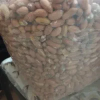 بادام گردو عسل|خوردنی و آشامیدنی|رامسر, |دیوار