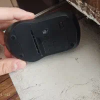 موس در حد نو|قطعات و لوازم جانبی رایانه|ابهر, |دیوار