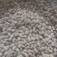 محصولات محلی