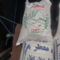 برنج محلی نورآباد وچمپا نیم دانه