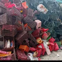 خرید و فروش سبد میوه با بهترین قیمت