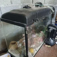 اکواریوم