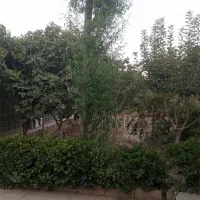رهن و اجاره باغچه ۵۰۰ متری در لم آباد کوچه بهداشت|اجارهٔ خانه و ویلا|ملارد, |دیوار