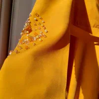 لباس مجلسی جنس عالی و نو|لباس|طارم, |دیوار