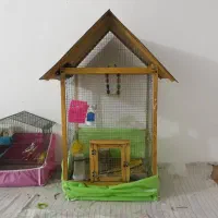 قفس چوبی|لوازم جانبی حیوانات|کرمانشاه, |دیوار