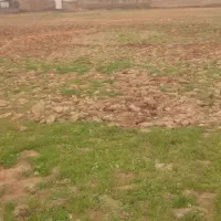 نیرو جهت کاردر زمین چمن