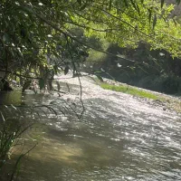 تور دور همی آدینه