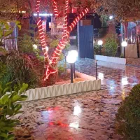 تخته کار مسلط به آشپزی در شهر رامسر|استخدام خدمات فروشگاه و رستوران|رشت, لاکان|دیوار