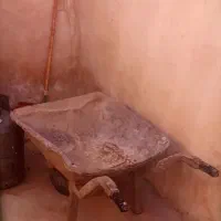 فرغون