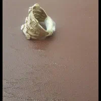 انگشتر طلا|جواهرات|زاهدان, |دیوار