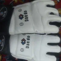 دستکش تکواندو و کاراته درجه یک