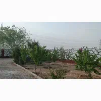 باغ فروشی 850 متری