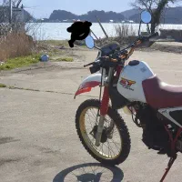 یاماها XT250  انحین فابریک