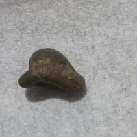 فسیل پر انرژی|جواهرات|جیرفت, |دیوار