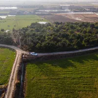 فروش-فوری-باغ-مرکبات-دارای-سندتکبرگ