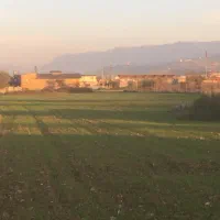 5300-متر-زمین-در-فاصله-150-متری-جاده-اصلی