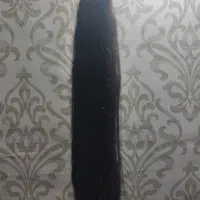 فروش وخرید مو