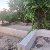 فروش باغ پسته  واقع در روستای مهارلو|فروش دفتر صنعتی، کشاورزی، تجاری|کوهنجان, |دیوار