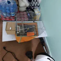 قفس با وسایل