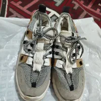 کفش اسپورت و مجلسی