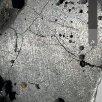 شهاب پالاسیت اهنی