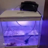 اکواریوم. درسال شرکتی|ماهی|مرودشت, ابوذر جنوبی|دیوار