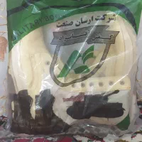 پوتین مرزبانی