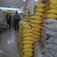 نیمدانه درشت محلی هاشمی از کارخانه برنج خوشه طلایی