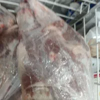 گوشت منجمد قلوه گاه گوساله