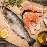 فروش ویژه ماهی قزل آلا