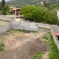 فروش زمین مسکونی 256متری|فروش زمین و ملک کلنگی|آلاشت, |دیوار