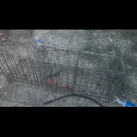 قفس مرغ تخمگذار