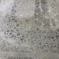 قالی ۱۲متری ۱۲۰۰شانه