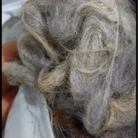 تشک و لحاف پشم گوسفند