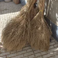 جارو|جاروبرقی، جارو شارژی، بخارشو|بیرجند, |دیوار