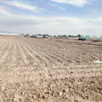 3050متر زمین کشاورزی فروشی همراه ۱ساعت آب موتور