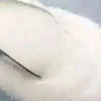 شکر سفید