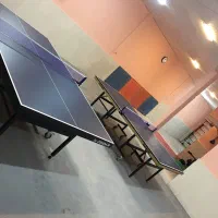 میز پینگ پنگ اصلی