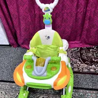 روروئک|کالسکه و لوازم جانبی|فولادشهر, زاینده رود|دیوار