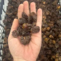 آلوچه و برگه زردآلو|خوردنی و آشامیدنی|حمیدیا, |دیوار