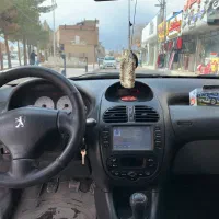 206sdمدل ۹۹|خودرو سواری و وانت|کرمان, |دیوار