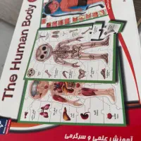 مجموعه ماشینهای ABS کودک با تخفیف ویژه|اسباببازی|مشهد, فرهنگ|دیوار