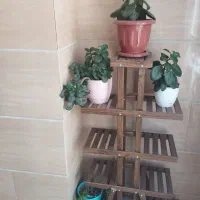 استند گل چوبی|کتابخانه، شلف، قفسه‌های دیواری|مشکین‌دشت, |دیوار