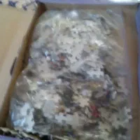 پازل هزار تکه|کلکسیون و سرگرمی|شریفآباد, |دیوار