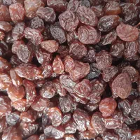 خرید و فروش انواع کشمش|خوردنی و آشامیدنی|قزوین, |دیوار