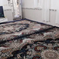 دو عدد فرش 12متری 700شانه|فرش|جوانرود, |دیوار