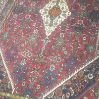 فرش ماشبنی وفرش دستباف|فرش|همدان, |دیوار