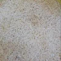 فروش عمده برنج باقیمت پایین