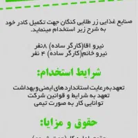 استخدام نیروی کار