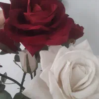 گل و گلدان مصنوعی|گل مصنوعی|کرج, شهرک امیر المومنین|دیوار